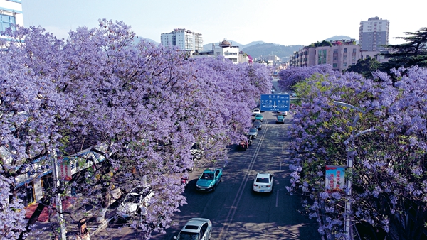 Discovery | Getting Lost Amongst Xichang's Picturesque Landscape