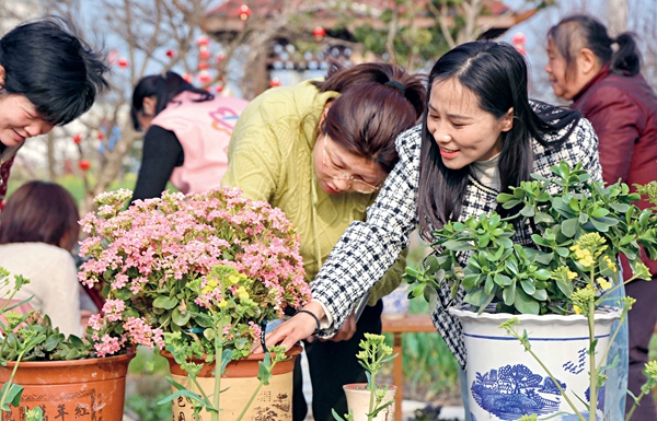 Federation Helps Women Improve Ability to Beautify Courtyards