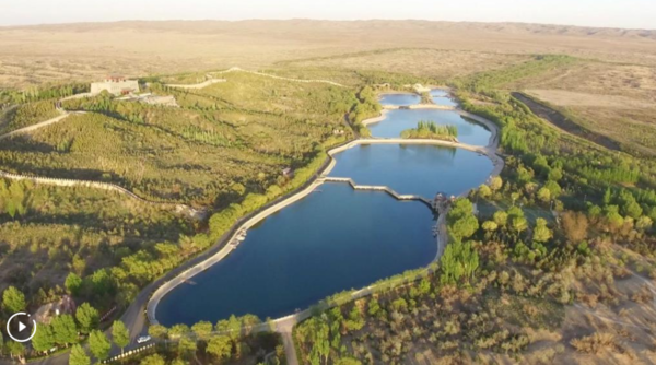 From Surviving to Thriving Amidst Sands, Chinese City Fortifies 'Green Great Wall'