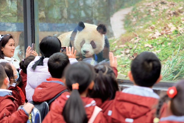 Project Teaches Children, Teens to Protect Giant Pandas