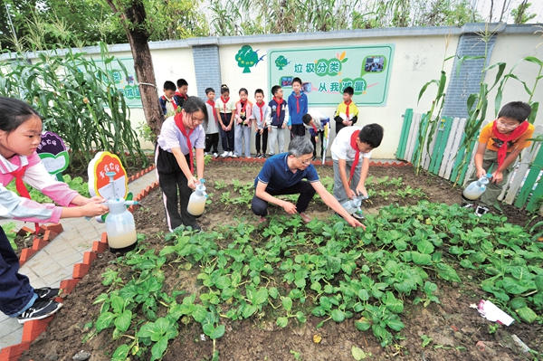 Organization Highlights Children's Roles in Advancing Ecological Progress