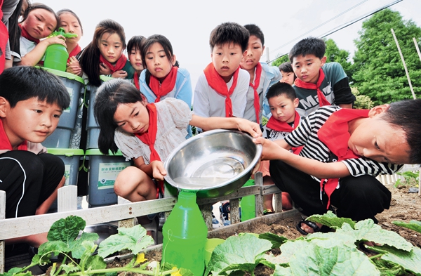 Organization Highlights Children's Roles in Advancing Ecological Progress