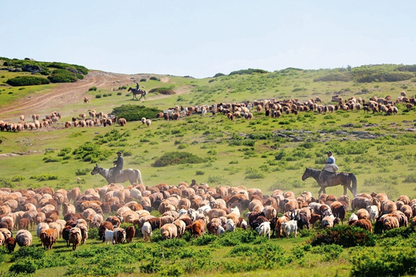 Discovery | Altay's Natural Landscape, Unique Folk Culture Worth Exploring