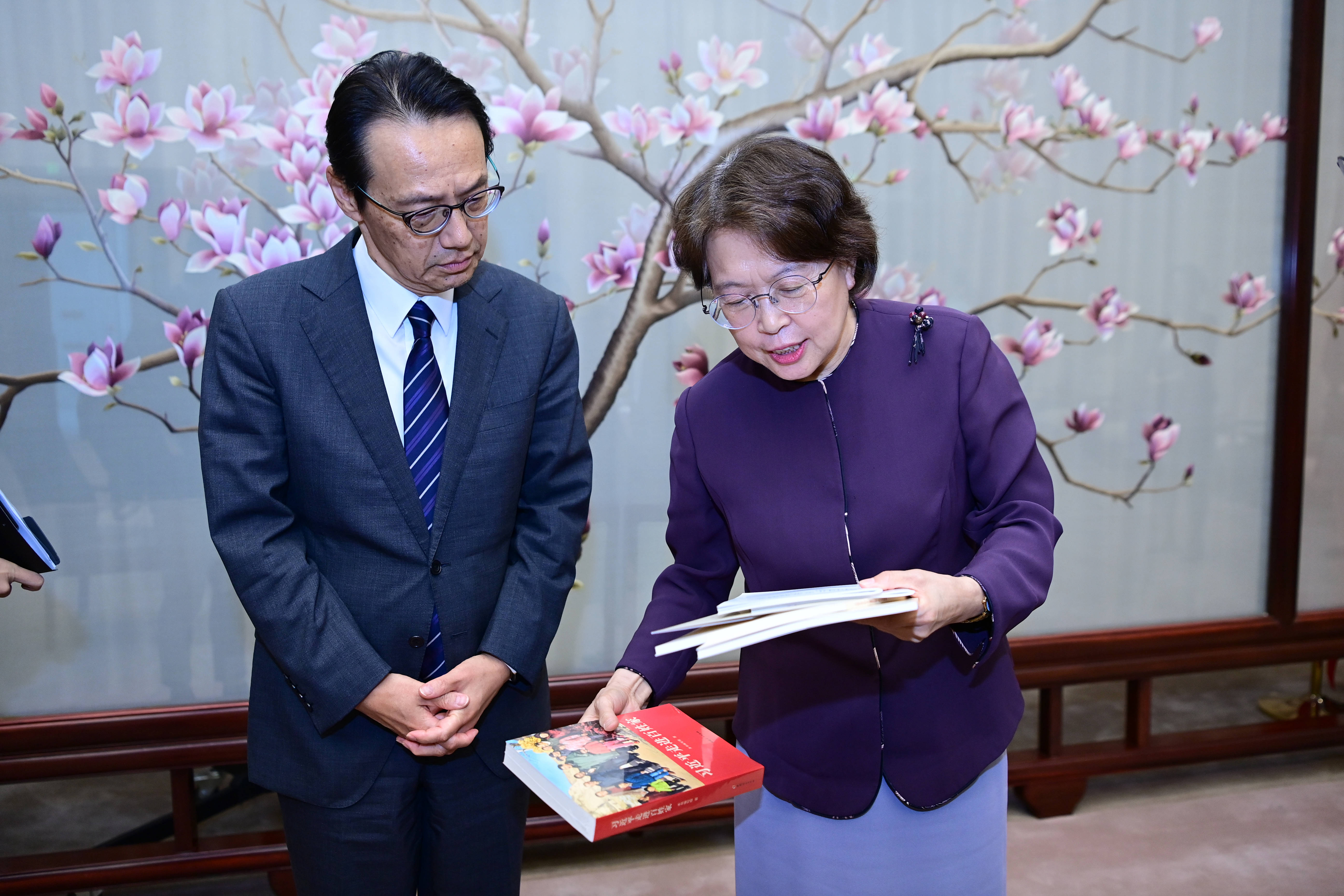 Huang Meets Japanese Ambassador to China