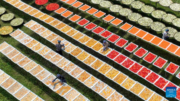 Villagers Dry Agricultural Products in County of Yichun, E China