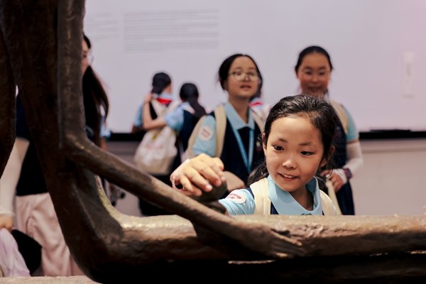 Public Welfare Camp Activity Brings Spring Bud Girls to Yinchuan