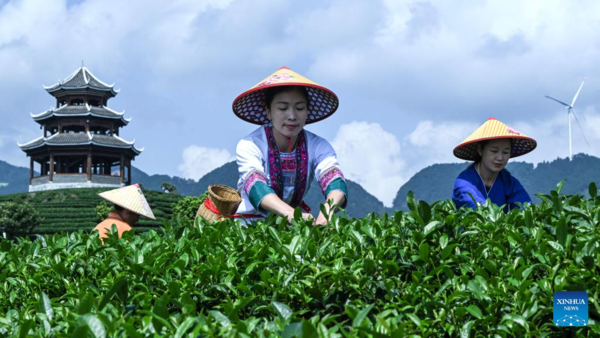 Inheritor of Grand Song of Dong Ethnic Group in Guangxi