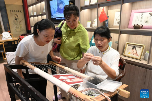 Intangible Cultural Heritage Inheritor Revives Gan Hair Embroidery in E China