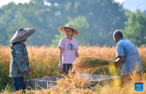 Young Village Worker Helps Villagers Develop Rice Seed Production Industry in SW China