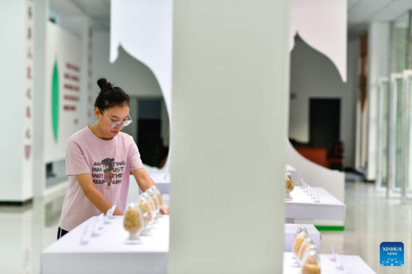 Young Village Worker Helps Villagers Develop Rice Seed Production Industry in SW China