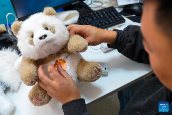 China's Innovative Panda Toys Get Popular Around World