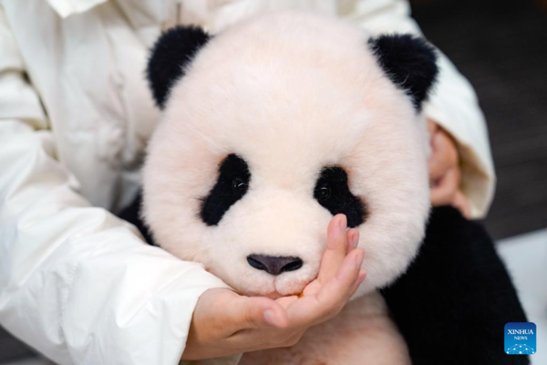 China's Innovative Panda Toys Get Popular Around World