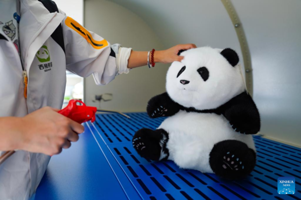 China's Innovative Panda Toys Get Popular Around World