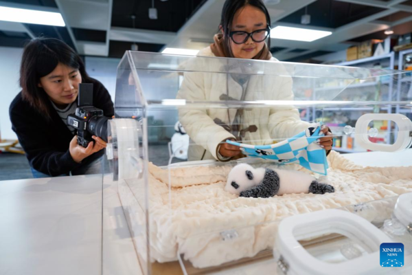 China's Innovative Panda Toys Get Popular Around World