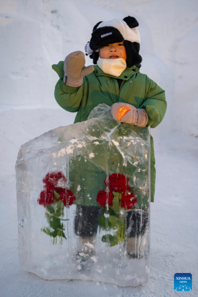 41st Harbin Int'l Ice and Snow Festival Kicks Off