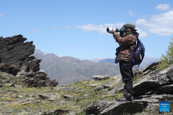 Chasing Butterflies, Protecting Nature amid Xinjiang's Wilderness