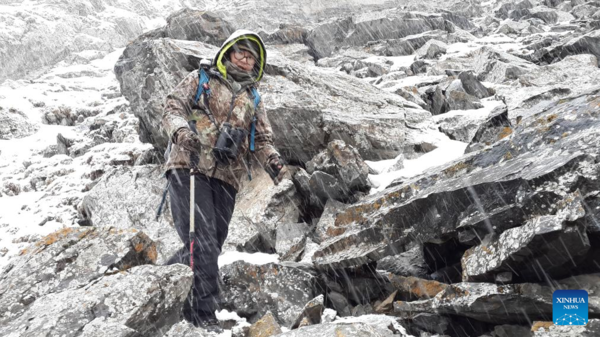 Chasing Butterflies, Protecting Nature amid Xinjiang's Wilderness