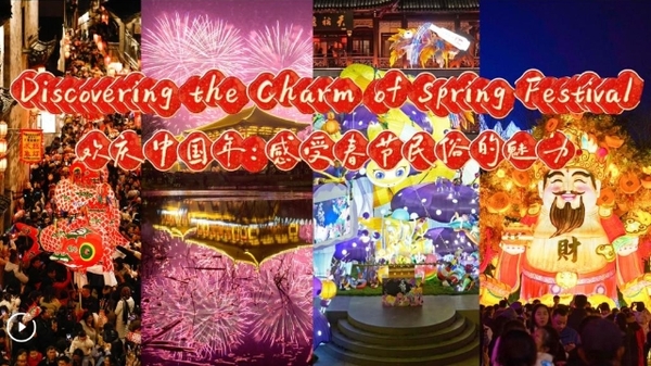 Discovering the Charm of Spring Festival