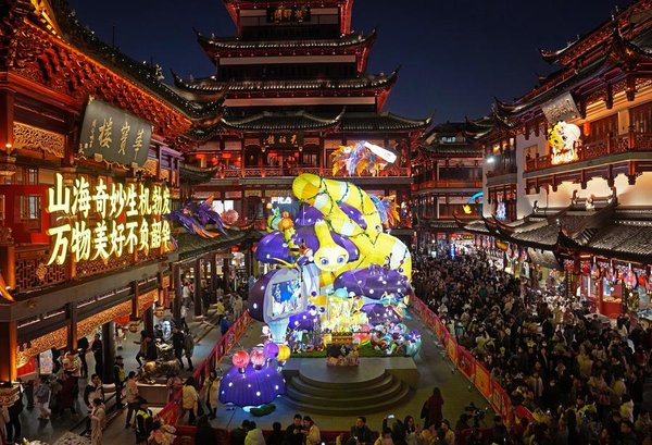 Discovering the Charm of Spring Festival