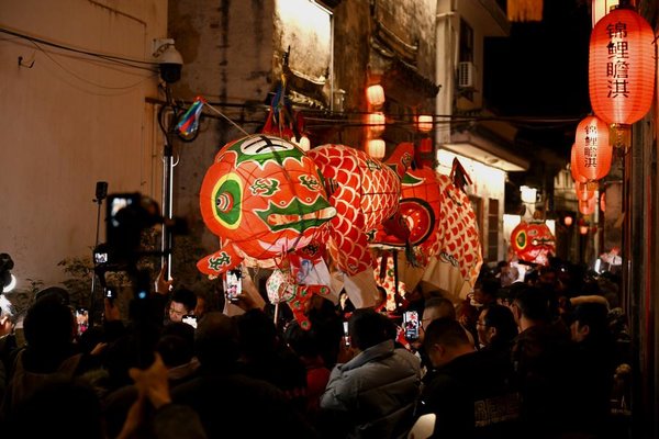 Discovering the Charm of Spring Festival