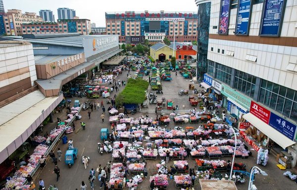 Yunnan Flower Fragrance Spreads in Vietnam