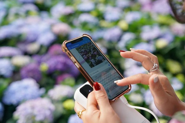 Yunnan Flower Fragrance Spreads in Vietnam