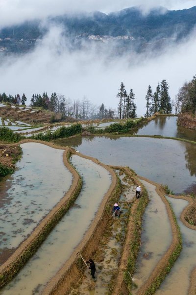 1,300-Year-Old Agricultural Ecosystem Shines in SW China's Yunnan