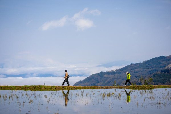 1,300-Year-Old Agricultural Ecosystem Shines in SW China's Yunnan