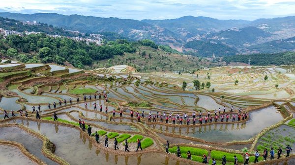 1,300-Year-Old Agricultural Ecosystem Shines in SW China's Yunnan