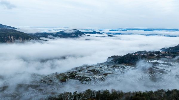 1,300-Year-Old Agricultural Ecosystem Shines in SW China's Yunnan