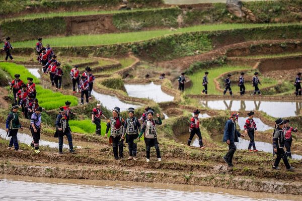 1,300-Year-Old Agricultural Ecosystem Shines in SW China's Yunnan