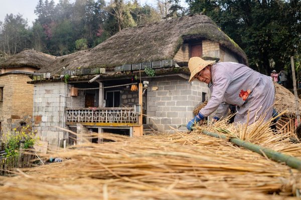 1,300-Year-Old Agricultural Ecosystem Shines in SW China's Yunnan